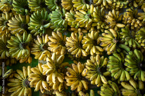 Fresh bananas, Musa, on traditional market in Yogyakarta, Indonesia