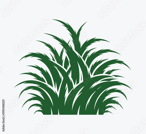 A fresh tropical palm tree vector illustration featuring green leaves and branches isolated on a white background for nature and garden botany designs