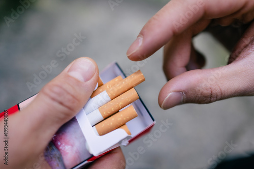 Εκτύπωση καμβά Zigarette aus Packung anbieten