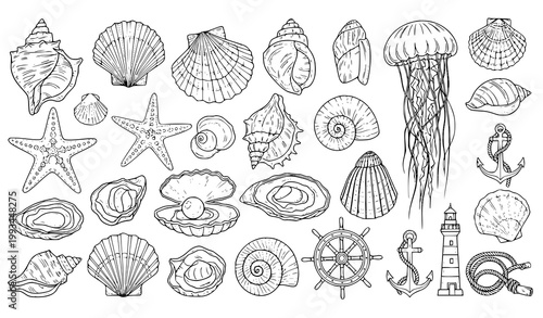 A collection of ocean icons and sea shells in a minimalist line art style