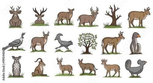 Collection of cartoon wild animal illustrations including deer and birds