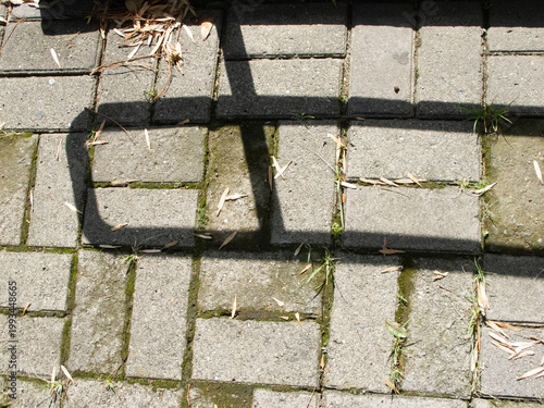 concrete blocks on the road