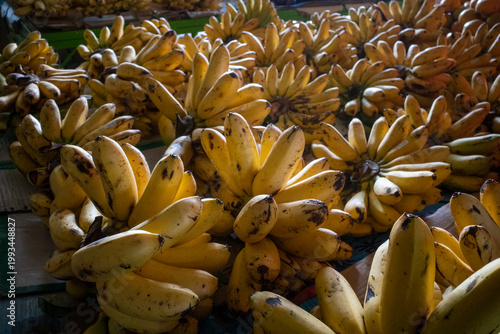 Fresh bananas, Musa, on traditional market in Yogyakarta, Indonesia
