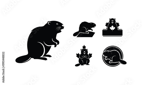 Canadian beaver silhouette symbols collection vector illustration.