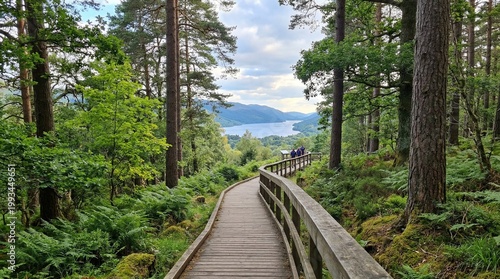 Wooden boardwalk path through lush green forest leading to scenic lake view with distant mountains