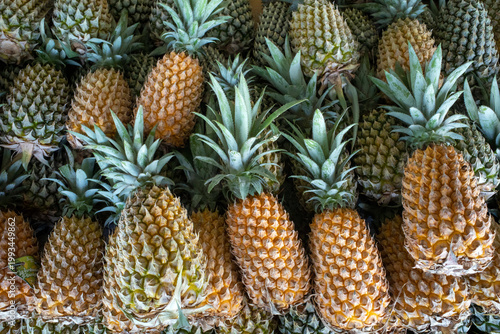 Fresh ripe pineapple (Ananas comosus) on the traditional market in Yogyakarta, Indonesia