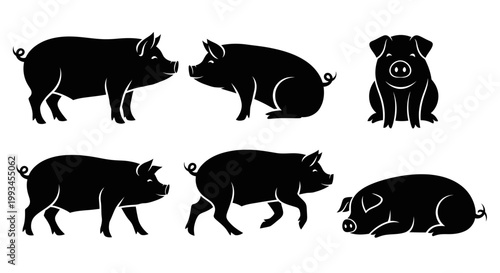 Set of Black Pig Silhouettes in Various Poses