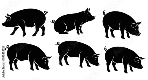 Set of Black Pig Silhouettes in Various Poses