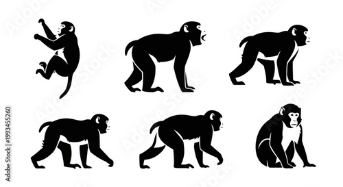 Set of Monkey Silhouettes in Various Poses