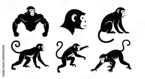 Set of Monkey Silhouettes in Various Poses