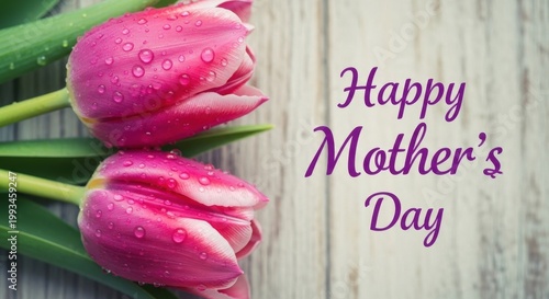 Happy Mother's Day greeting card with pink tulips, fresh spring flowers with water drops on rustic wood background, floral holiday celebration banner