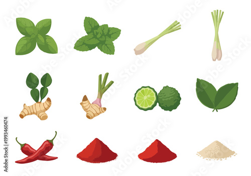 Collection of Fresh Asian Culinary Herbs and Spices Ingredients.