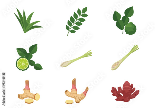 Collection of Various Fresh Herbs and Roots for Culinary Use.
