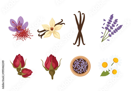 Collection of Aromatic Flowers and Spices for Perfumery.