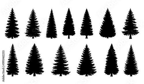 Pine tree silhouette vector set forest conifer tree collection