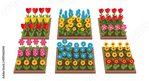 Colorful Spring Flower Beds Arranged in a Grid Pattern.