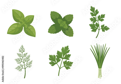 Collection of Fresh Culinary Herbs and Greens.