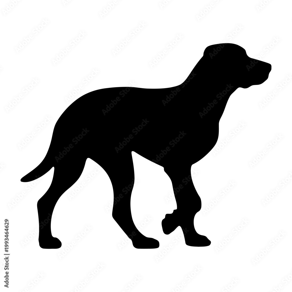 Naklejka premium Vector silhouette of a dog standing