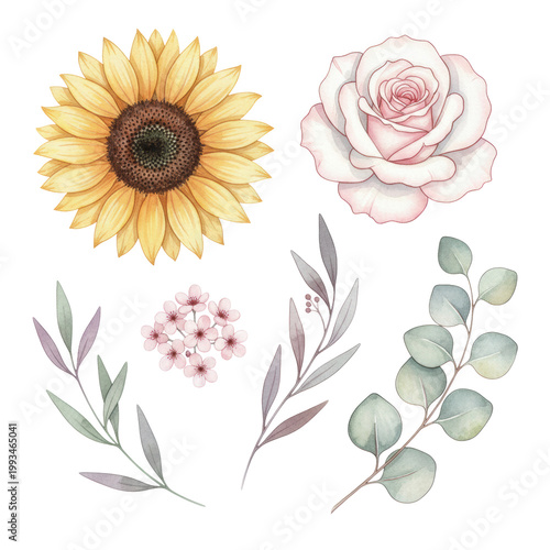 Watercolor illustration of golden sunflowers, blush rose, pink blossoms, and eucalyptus sprigs arranged on a white background, elegant botanical art atmosphere
