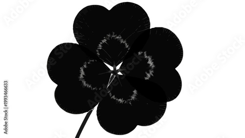Black Four Leaf Clover Isolated on White Background - Symbol of Luck