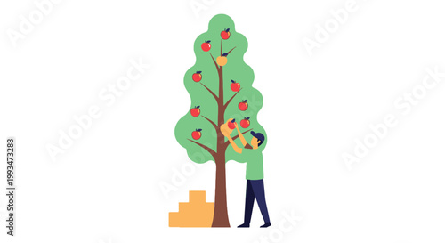 Person Picking Apples from Tree in Orchard Scene