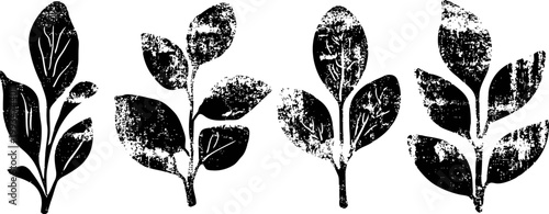 Set of vintage grunge textured botanical leaf silhouettes on white background