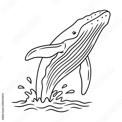 Humpback Whale Jumping Out of Water Line Art Illustration