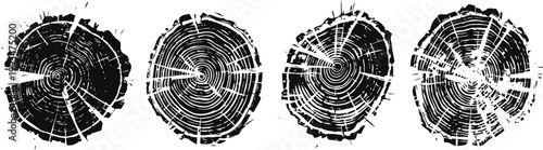 Cross sections of tree trunks showing natural growth rings and wood texture in circular form