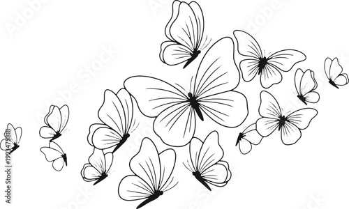 Flock of butterflies black line art on gray checkered background vector illustration.