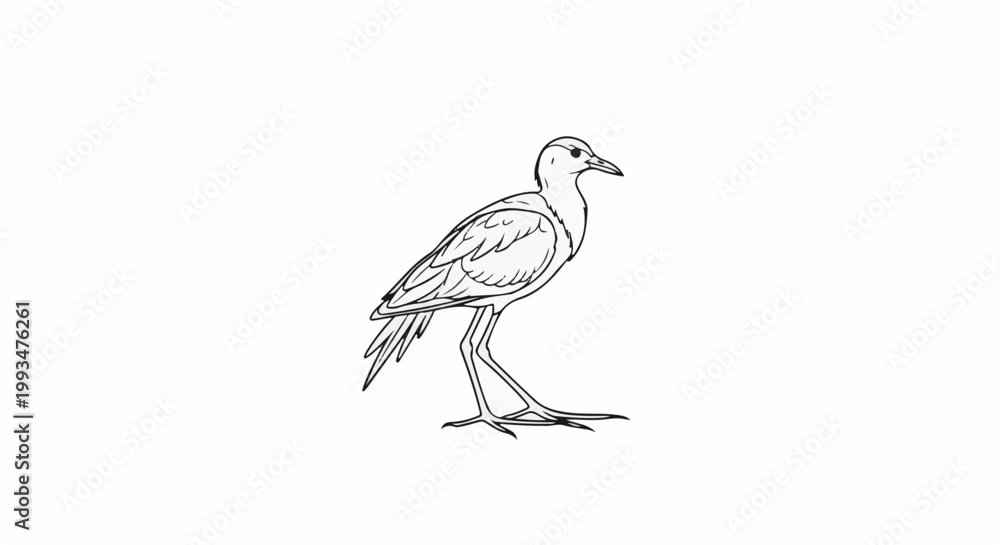 Fototapeta premium Line drawing of a wading bird standing on spindly legs