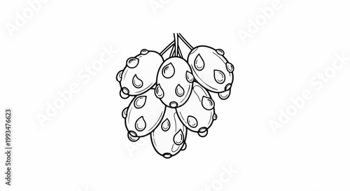 A cluster of oval, segmented fruits or berries hangs from stems