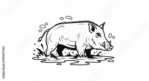 A black and white illustration of a wild boar wading in muddy water