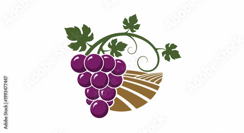 A bunch of purple grapes on a vine with rolling hills behind them