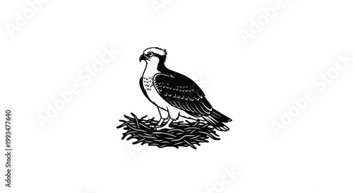 Black and white illustration of an osprey bird standing in a nest
