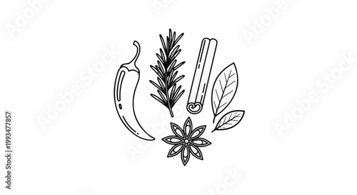 Line art of assorted spices including chili, rosemary, cinnamon, bay leaves, and star anise