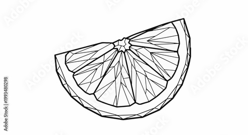 Geometric slice of citrus fruit with radiating segments and rind detail