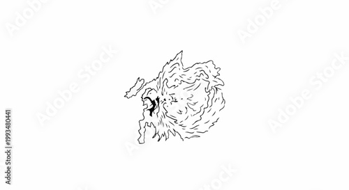 Abstract swirling black ink drawing of a face with expressive lines