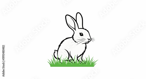 Line art illustration of a fluffy rabbit sitting in bright green grass