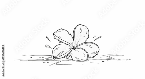 Line art of a five-petal flower with water droplets on a tiled surface