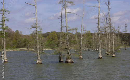 Picturesque Mallard Lake, a public fishing resource in Manila, Arkansas, created by levees in the marshy lowlands of Big Lake Wildlife Management Area. 