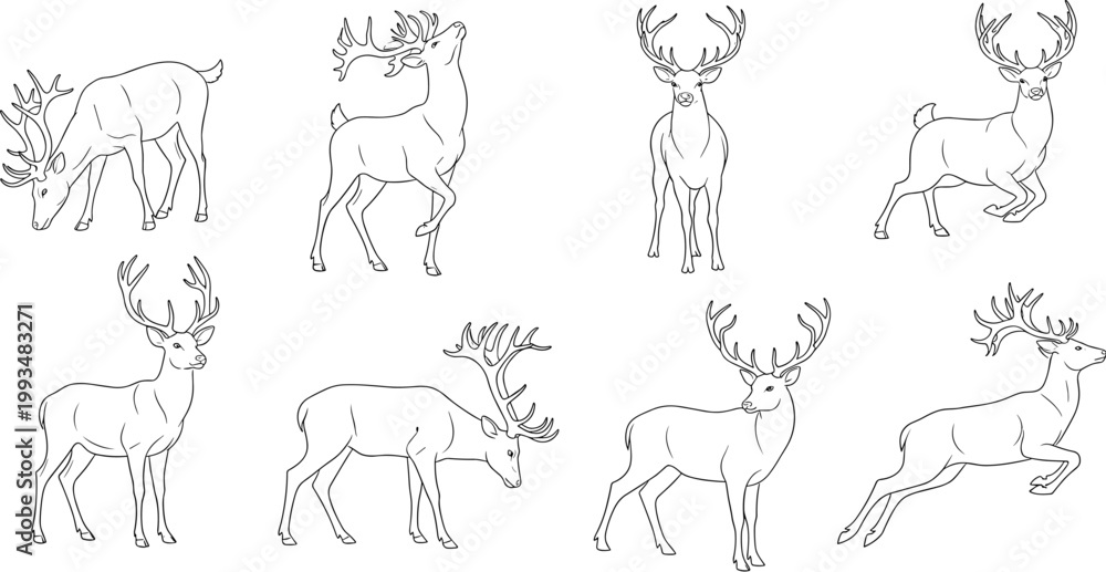 Fototapeta premium Deer Stag Line Art Set Outline Bundle Isolated on White.