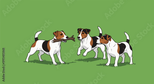 Three playful dogs are on a green field, tugging a stick