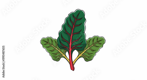 Three colorful leaves with red stems on a white background