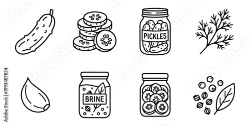 Pickled cucumber icon set: monoline vector outlines of whole pickles, jars, slices, and dill herb.