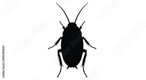 A striking black silhouette of a cockroach with prominent antennae a dark form silhouette
