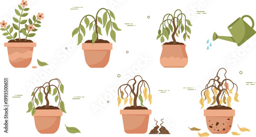 Stages of plant wilting and drying in pots with watering concept in flat vector illustration for gardening problems, care mistakes and plant health design