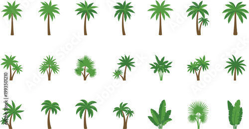 Set of tropical palm trees and exotic plants in flat vector illustration isolated on light background for summer, jungle, beach and nature design