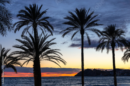 Sunset landscape with palm trees landscape over Mediterranean Sea waters at sunset golden hour seen from Poniente Beach at Costa Blanca coast of Benidorm in Spain