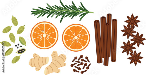 Set of Hand-Drawn Illustrations Featuring Orange, Cinnamon, Ginger, Cloves, Star Anise, Cardamom, and Rosemary for Culinary and Decorative Graphic Design Projects