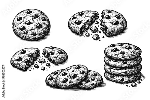 Vintage Hand-Drawn Chocolate Chip Cookie Illustrations in Woodcut and Engraved Style, Featuring Whole, Broken, and Stacked Cookies with Crumbs, Isolated Vector Sketch for Bakery and Menu Design.